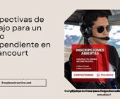 Perspectivas de trabajo para un piloto independiente en Guyancourt – Portal de empleo, ayuda para encontrar un primer trabajo